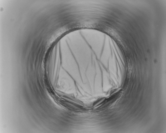 X0000059070674200511041755