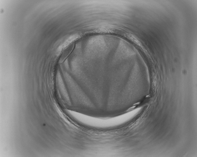 X0000059070677200511041755