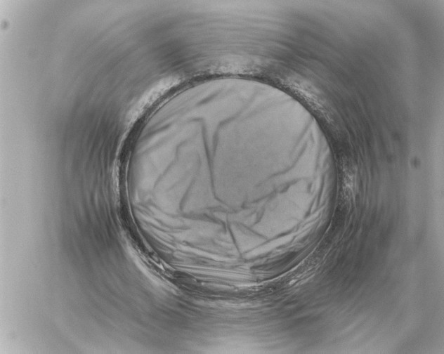 X0000059070678200511041755