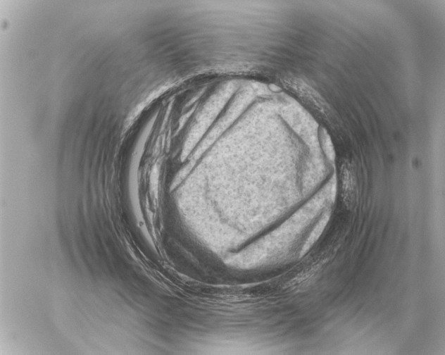 X0000059070684200511041755