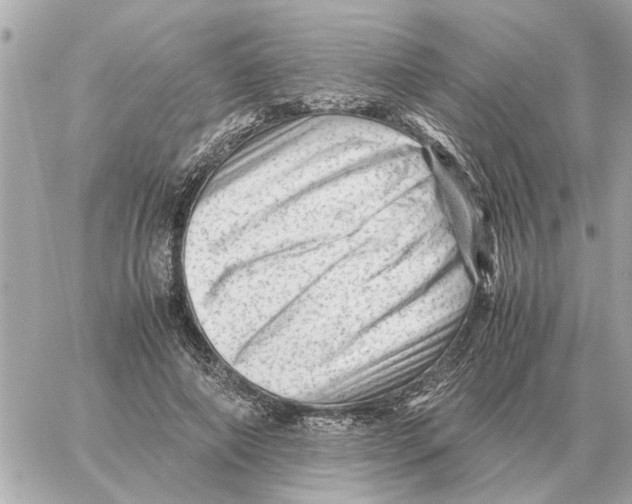 X0000059070690200511041755