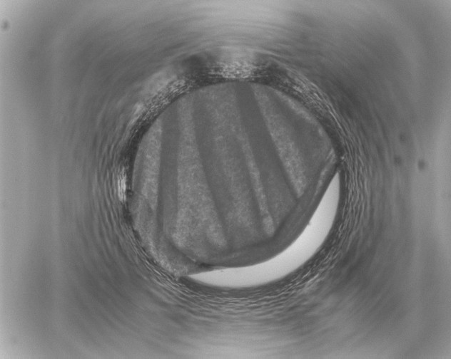 X0000059070697200511041755