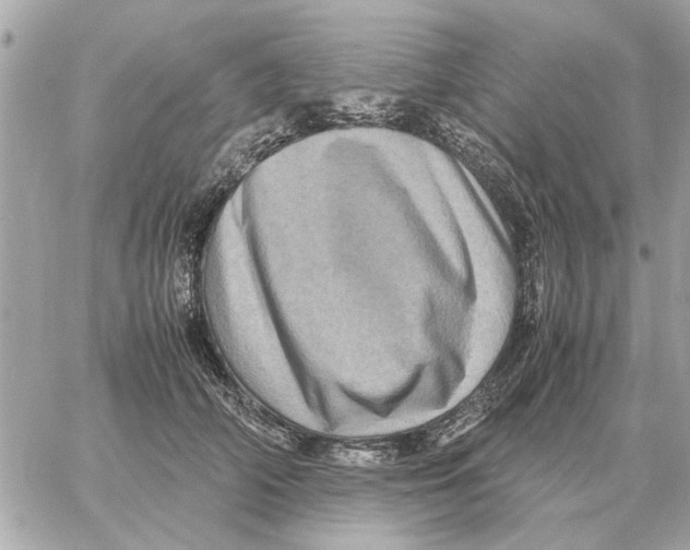 X0000059070706200511041755