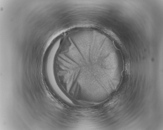 X0000059070724200511041754