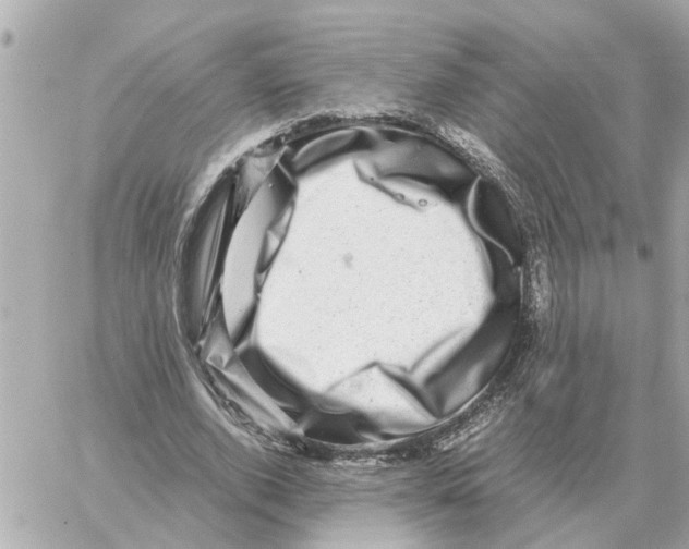 X0000059070728200511041754