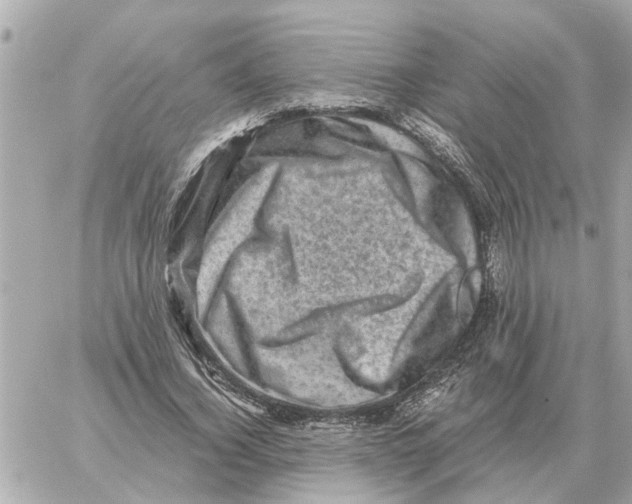 X0000059070732200511041754