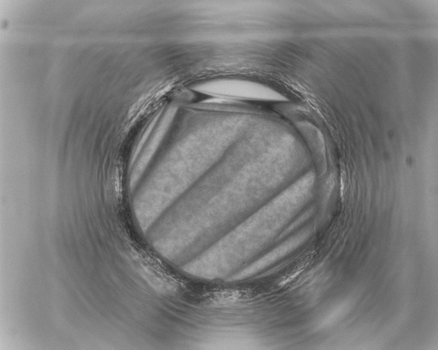 X0000059070740200511041754