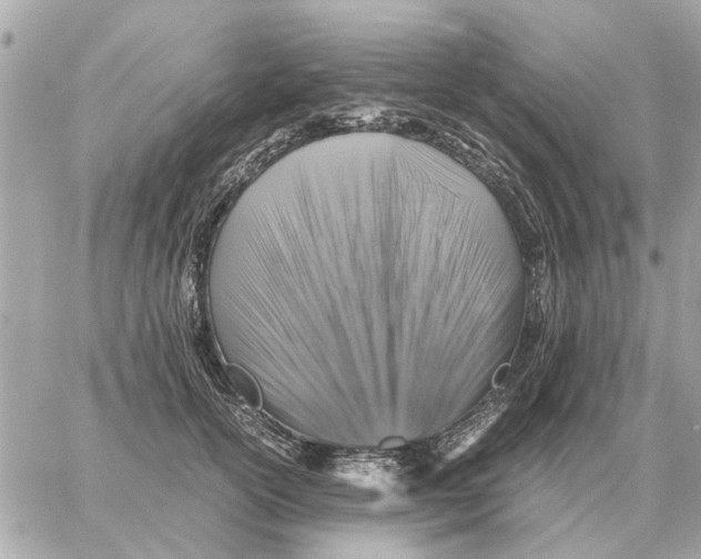 X0000059070754200511041754