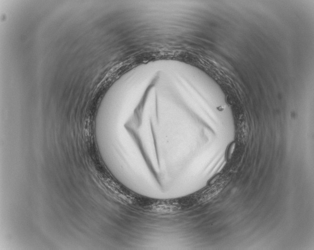 X0000059070756200511041754
