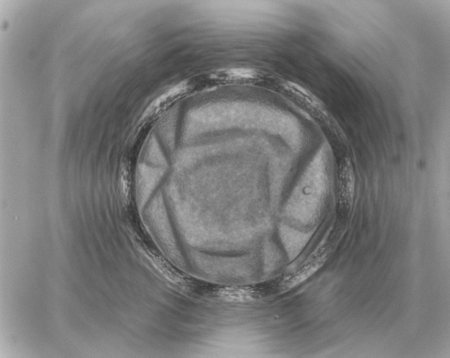 X0000059070762200511041754
