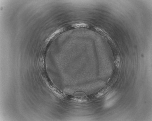 X0000059070763200511041754