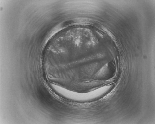 X0000059070779200511041753