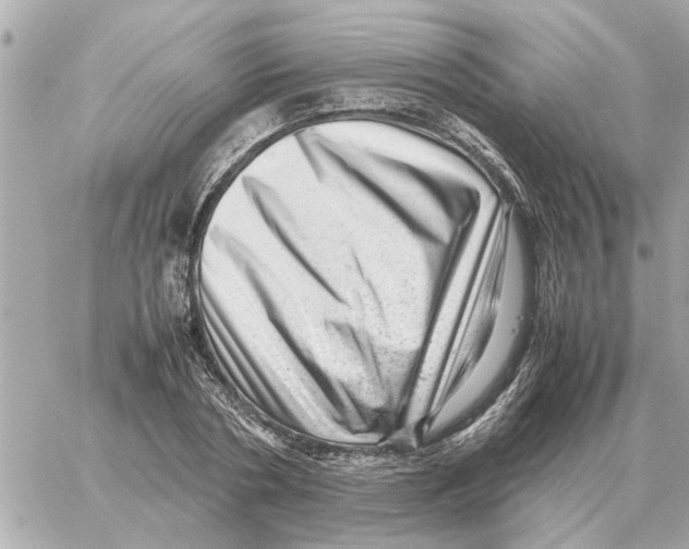 X0000059070786200511041753