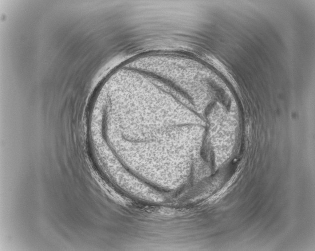 X0000059070787200511041753