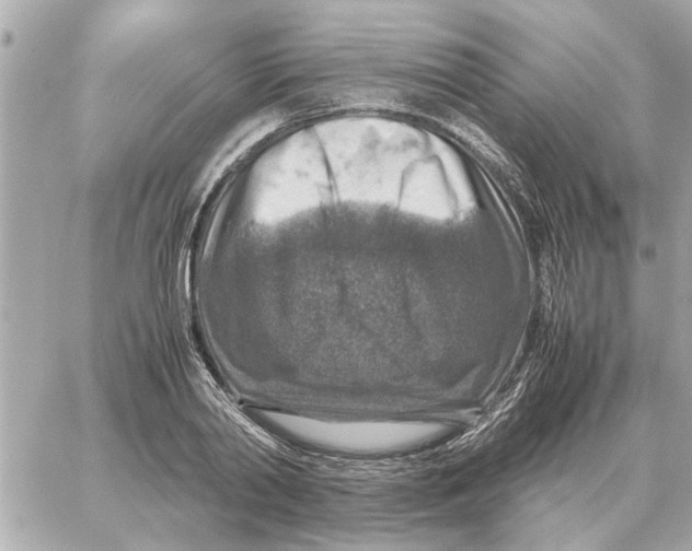 X0000059070790200511041753