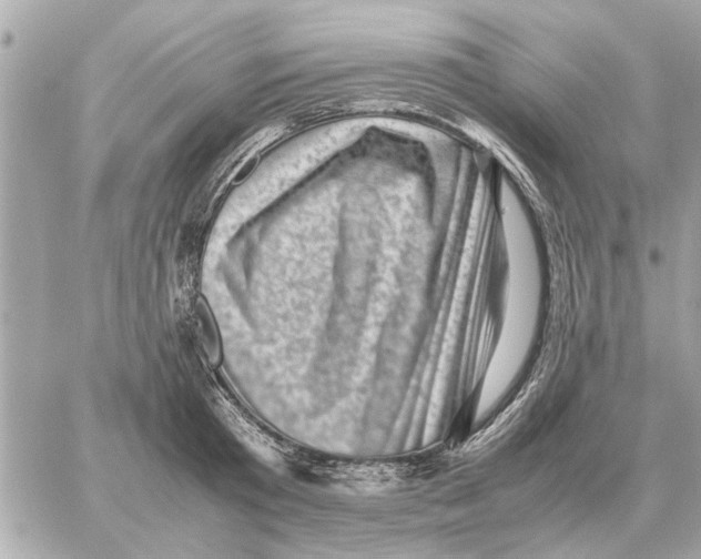 X0000059070801200511041753