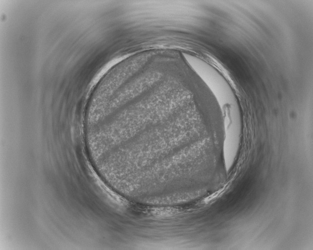 X0000059070803200511041753