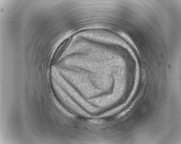 X0000059070805200511041753