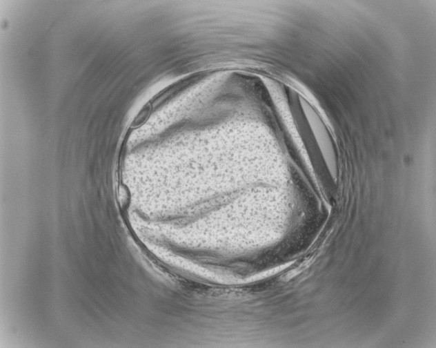 X0000059070811200511041753