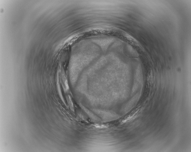 X0000059070822200511041752