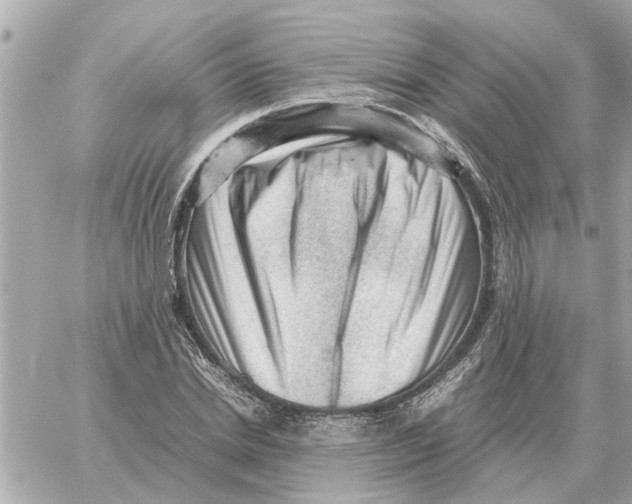 X0000059070830200511041752
