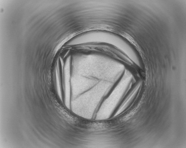 X0000059070834200511041752