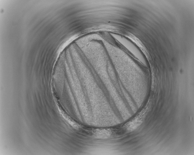 X0000059070850200511041752