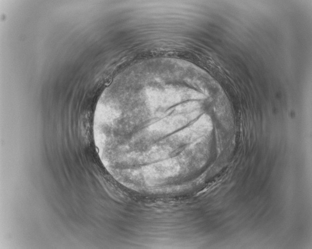 X0000059070868200511041752