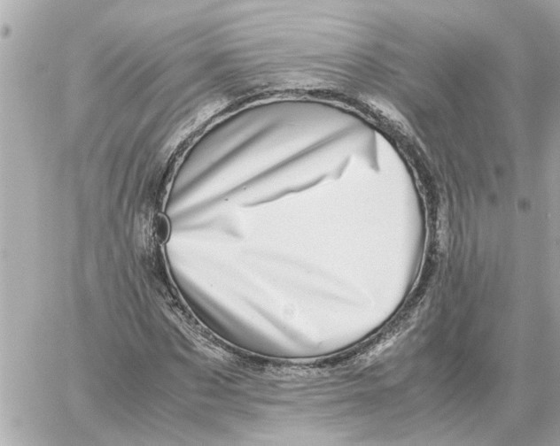 X0000059070873200511041752