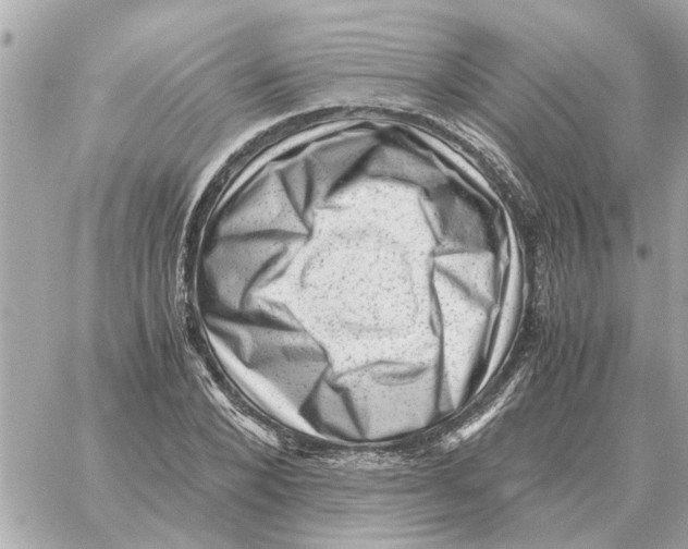 X0000059070880200511041752