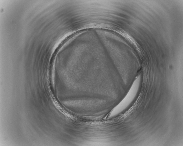 X0000059070896200511041751