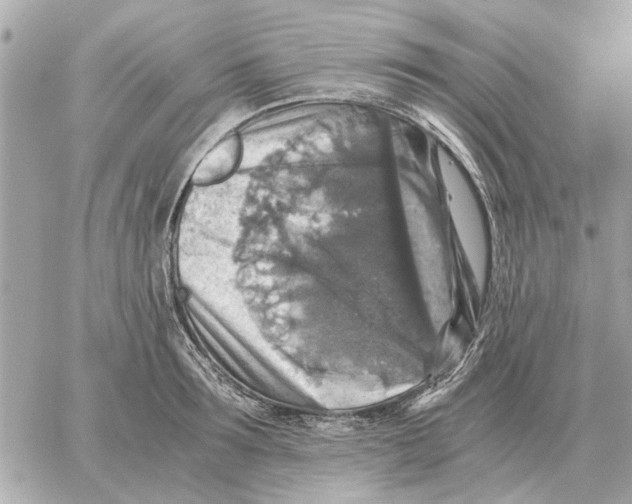 X0000059070899200511041751