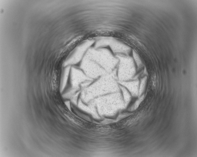 X0000059070964200511041750