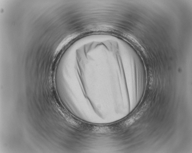 X0000059070978200511041750