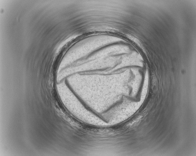 X0000059070979200511041750