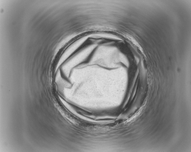 X0000059070981200511041750