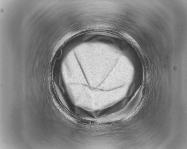 X0000059070989200511041750
