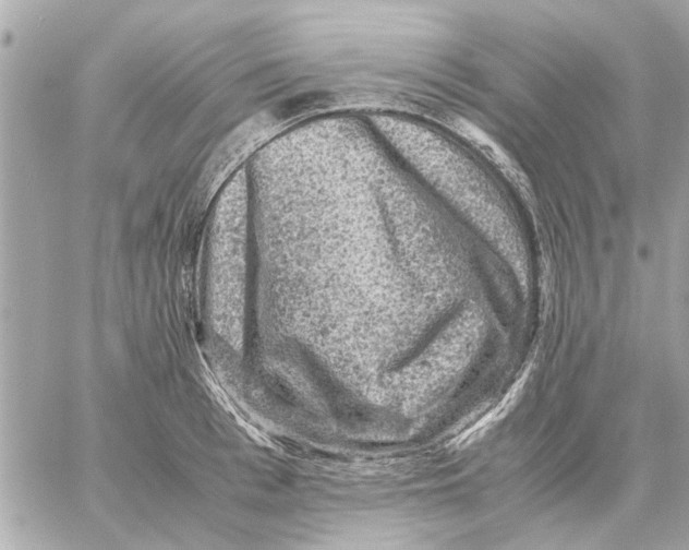 X0000059070993200511041750