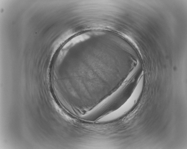 X0000059070995200511041750