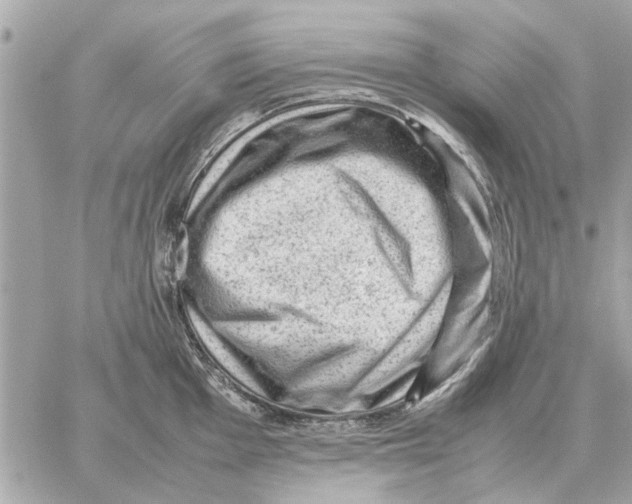 X0000059071001200511041750