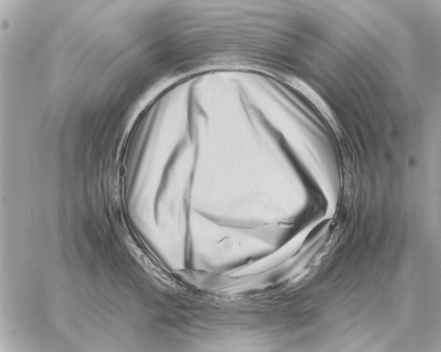 X0000059071004200511041750