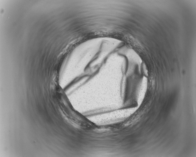 X0000059071012200511041749