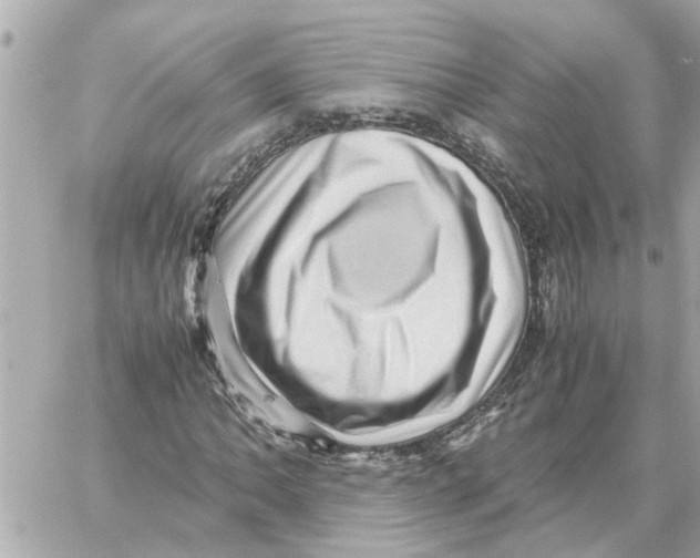 X0000059071062200511041749
