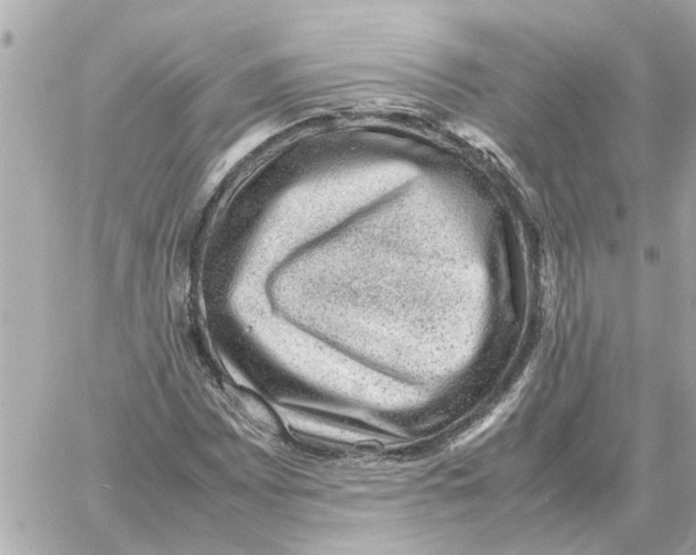 X0000059071065200511041749