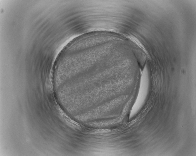 X0000059071068200511041749