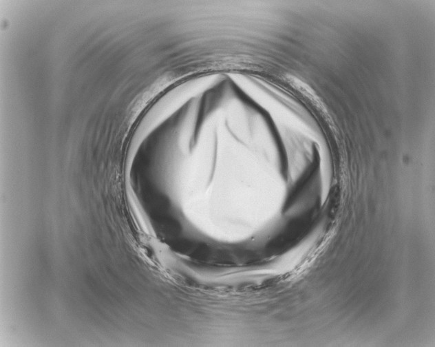 X0000059071089200511041748