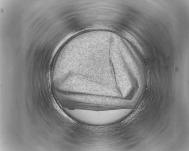 X0000059071092200511041748