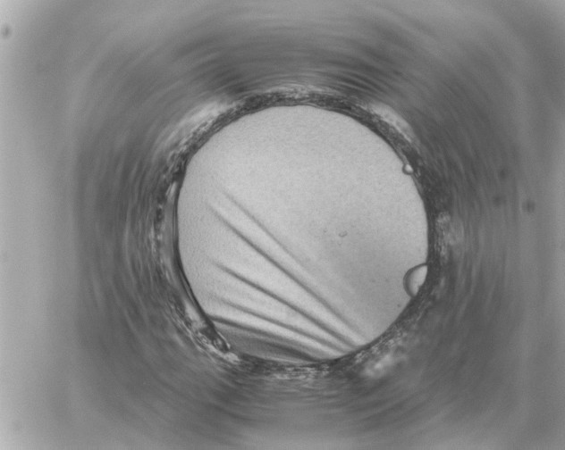 X0000059071111200511041747