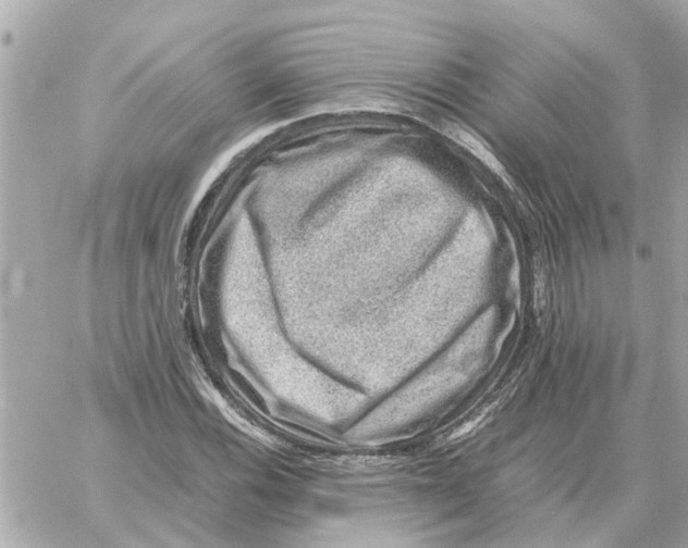 X0000059071116200511041747