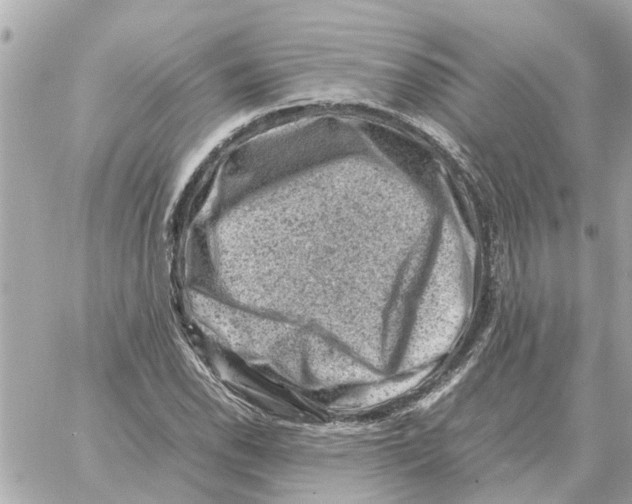 X0000059071118200511041747